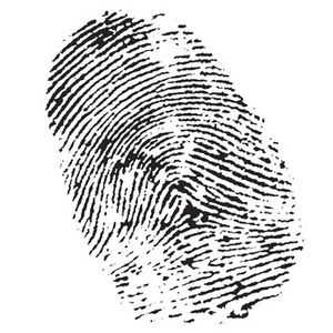 fingerprint